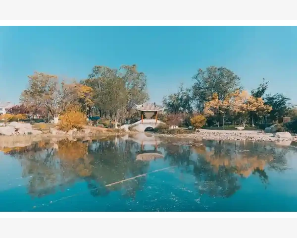 儿童呕吐调理：中药方剂为孩子带去舒适与健康