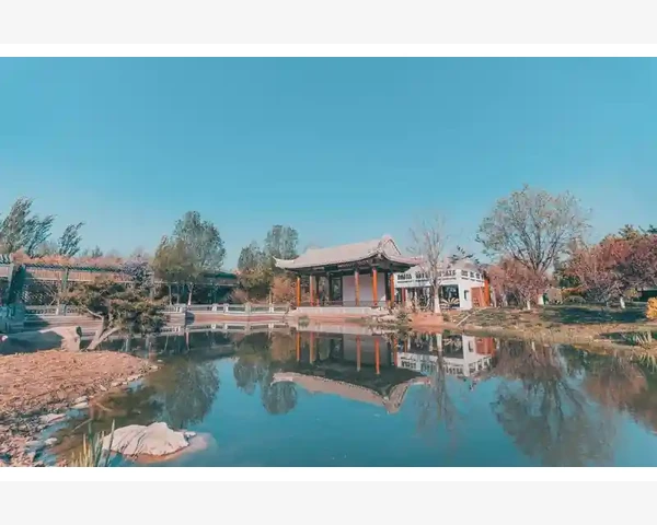 小孩扁桃体刮痧有用吗